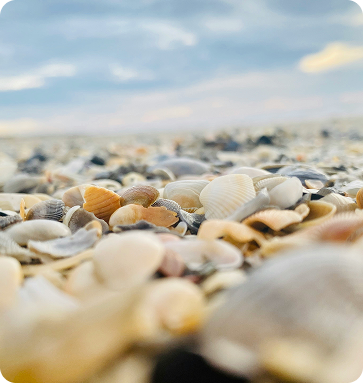 Manatee Sanctuary Park entrance