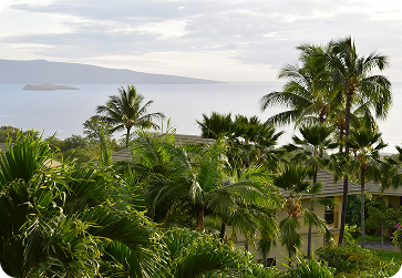 Coastal homes along a tranquil canal