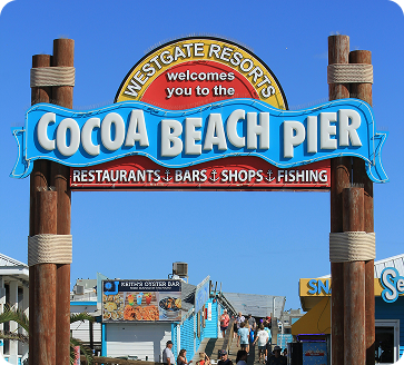 Pelicans perched on lush greenery