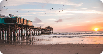 Poolside dining with palm trees